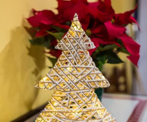 Casa Segade א-קורוניה